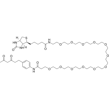 Diketone-PEG12-Biotin|CS-0115414