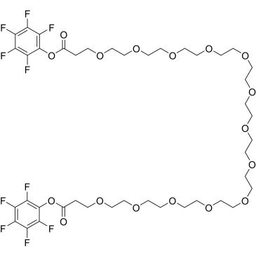 Bis-PEG13-PFP ester|CS-0115450