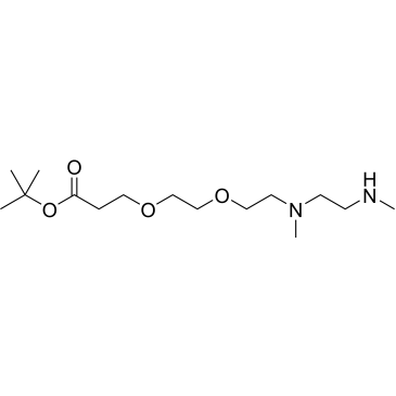 N,N'-DME-N-PEG2-Boc|CS-0115476