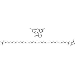 Carboxyfluorescein-PEG12-NHS|CS-0116033