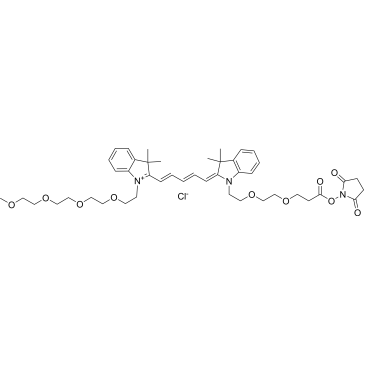 N-(m-PEG4)-N'-(PEG2-NHS ester)-Cy5|CS-0116046