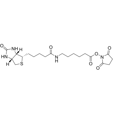 Biotin-C5-NHS Ester|CS-0116277