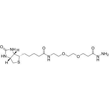(+)-Biotin-PEG2-hydrazide|CS-0116321