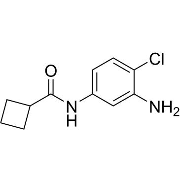 N-(3-Amino-4-chlorophenyl)cyclobutanecarboxamide|CS-0117655