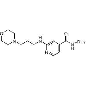 2-(3-Morpholinopropylamino)isonicotinohydrazide|CS-0117796