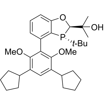 (R,R)-BaryPhos|CS-0119123