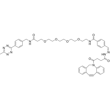 Methyltetrazine-PEG4-hydrazone-DBCO|CS-0119533