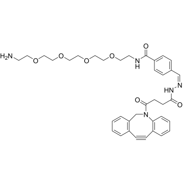 NH2-PEG4-hydrazone-DBCO|CS-0119678