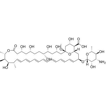 Amphotericin X1|CS-0120061