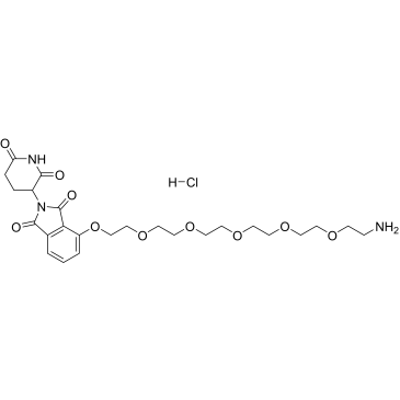 Pomalidomide-PEG6-NH2 hydrochloride|CS-0120093
