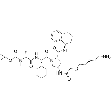 A 410099.1 amide-PEG2-amine-Boc|CS-0124037