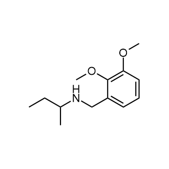 (Butan-2-yl)[(2,3-dimethoxyphenyl)methyl]amine|CS-0125580