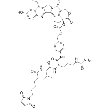 CS-0127621