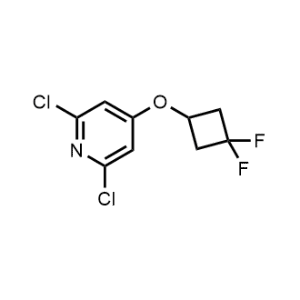 2,6-Dichloro-4-(3,3-difluorocyclobutoxy)pyridine|CS-0130211