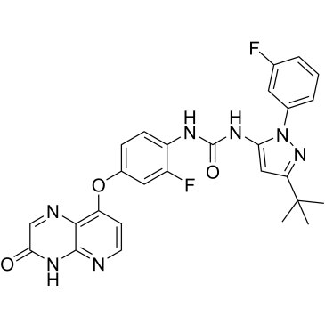 CS-0131631