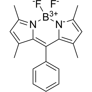 8-Phenyl-BODIPY 505/515|CS-0132574