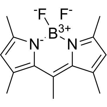 BODIPY 493/503|CS-0132717