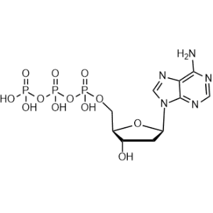 2'-Deoxyadenosine-5'-triphosphate|CS-0132807