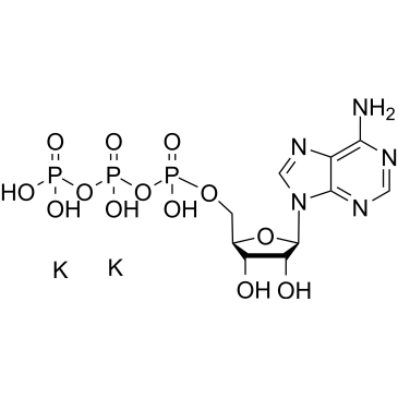ATP dipotassium|CS-0132810