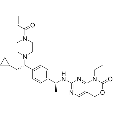 CS-0132813