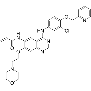 CS-0133688