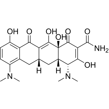 4-Epiminocycline|CS-0133889