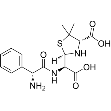 Ampicilloic acid|CS-0134199