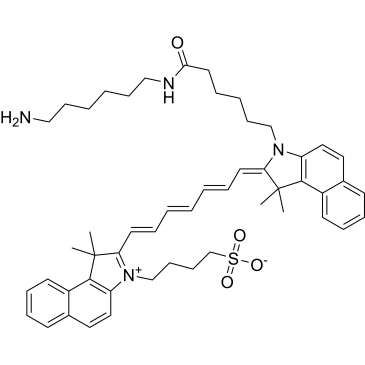 ICG-amine|CS-0134824