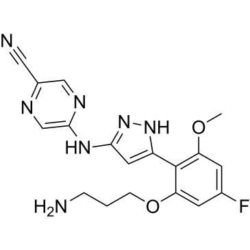 CS-0134825