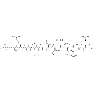pp60 (v-SRC) Autophosphorylation Site, Phosphorylated|CS-0135092