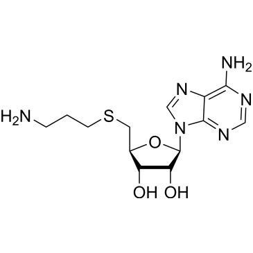 S-(5')-Adenosyl-3-thiopropylamine|CS-0137288