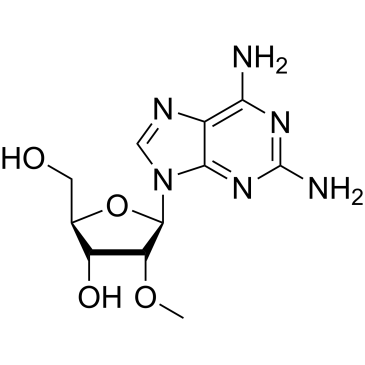 2-Amino-2'-O-methyladenosine|CS-0137948