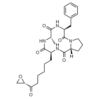 1-Alaninechlamydocin|CS-0141970