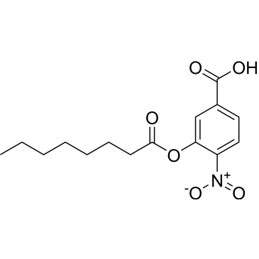 NOBA|CS-0142064