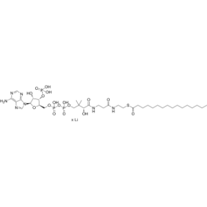 Palmitoyl coenzyme A lithium|CS-0142153
