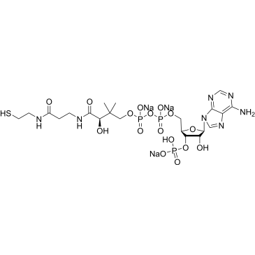 Coenzyme A sodium|CS-0142267