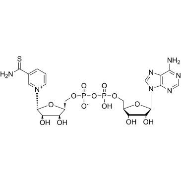 Thionicotinamide adenine dinucleotide|CS-0143572