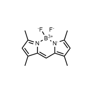 BODIPY 505/515|CS-0144316