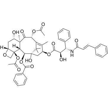 N-Debenzoyl-N-cinnamoylpaclitaxel|CS-0144456