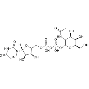UDP-GalNAc|CS-0145498