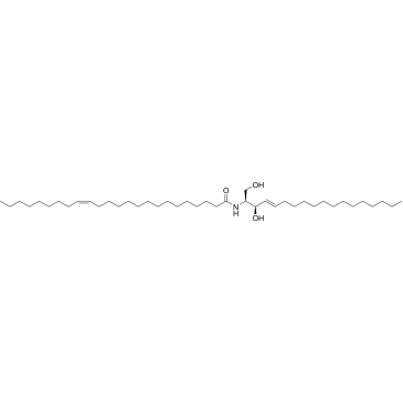 C24:1-Ceramide|CS-0145570