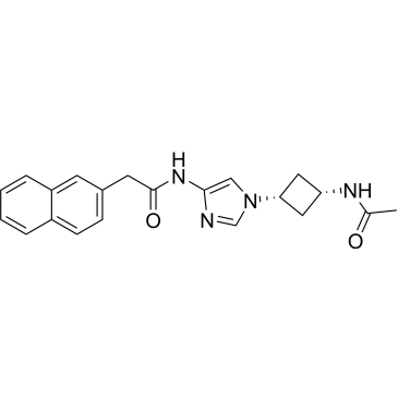 CS-0146132