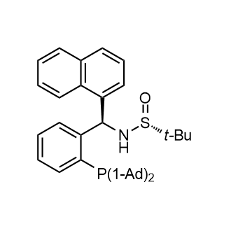 [S(R)]-N-[(R)-[2-(Diadamantanphosphino)phenyl]-1-naphthalenylmethyl]-2-methyl-2-propanesulfinamide|CS-0147558