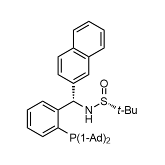 [S(R)]-N-[(S)-[2-(Diadamantanphosphino)phenyl](2-naphthalenyl)methyl]-2-methyl-2-propanesulfinamide|CS-0147561