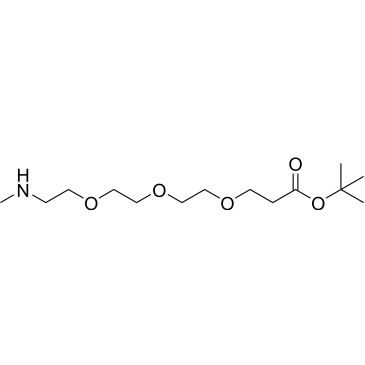 Methylamino-PEG3-t-butyl ester|CS-0148291