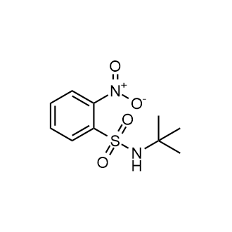 N-(tert-Butyl)-2-nitrobenzenesulfonamide|CS-0154869
