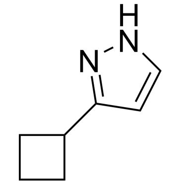 3-Cyclobutyl-1H-pyrazole|CS-0155432
