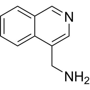 Isoquinolin-4-ylmethanamine|CS-0155961