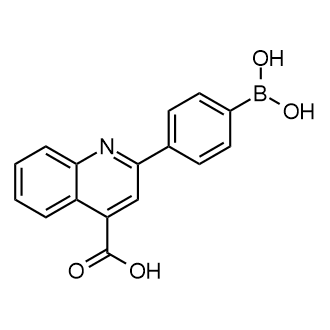 2-(4-Boronophenyl)quinoline-4-carboxylic acid|CS-0156031