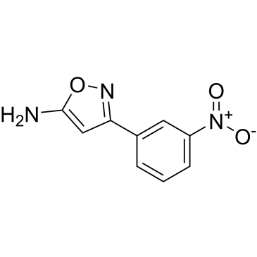 3-(3-Nitrophenyl)isoxazol-5-amine|CS-0156979